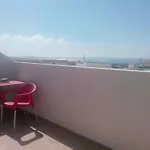 Spot 2*